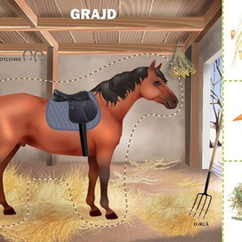 Домашние животные