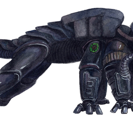 Каэзус-воин