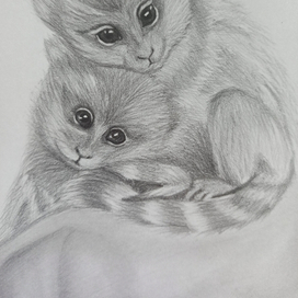 Мармазетки