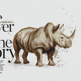 Сила и слава