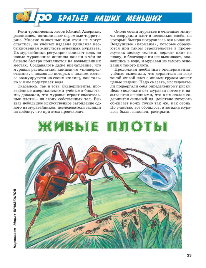 "Муравей"-Иллюстрация для журнала-"А почему?"Редакция "Юный техник". Рубрика "Про братьев наших меньших".Художник Марат Брызгалов.