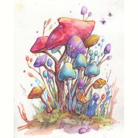 Грибной сезон