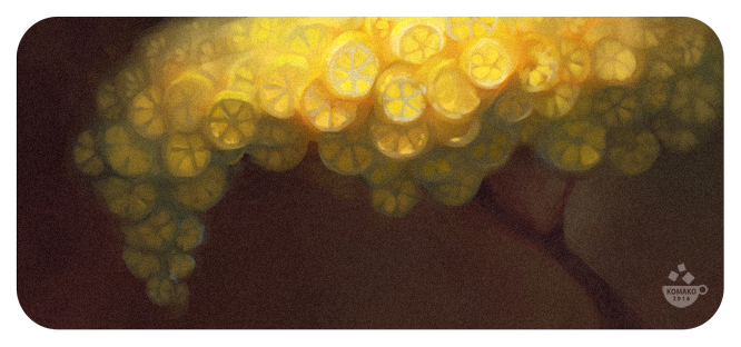 цитрусовое дерево