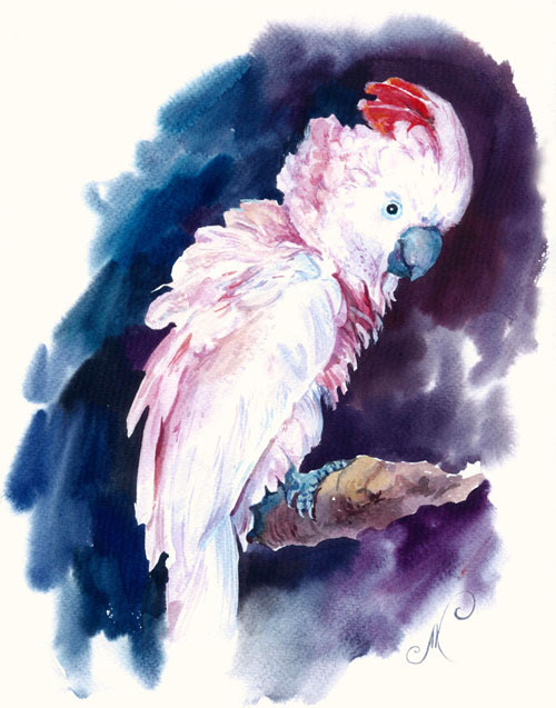 Из серии "Попугайчики"-РОЗОВЫЙ КАКАДУ