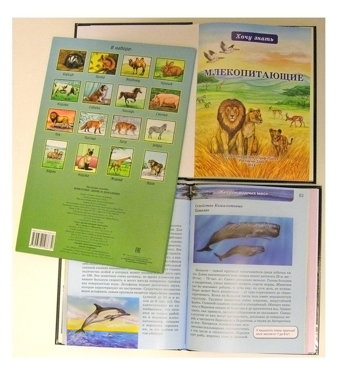 Млекопитающие