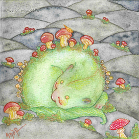 Грибное место