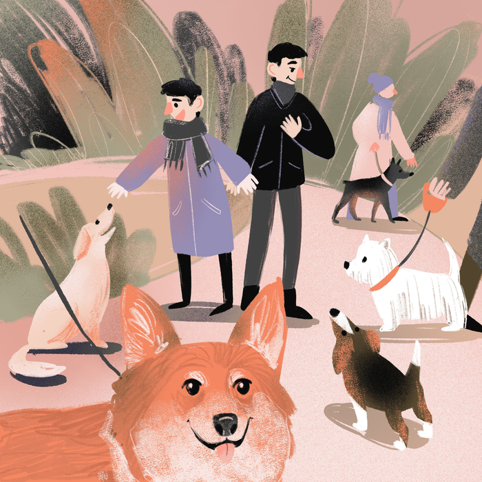 Догвотчинг