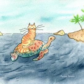 Кот на черепахе