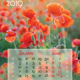 Календарь Маки