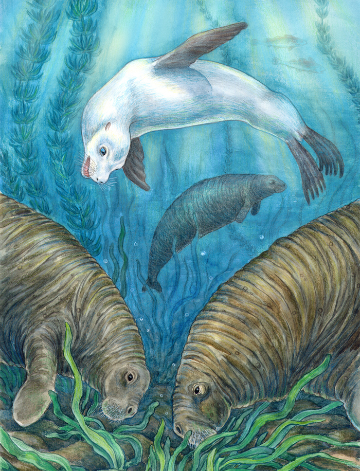 Что за странные создания?