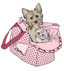 принт на сумку в виде сумки