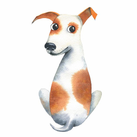 джекрассел