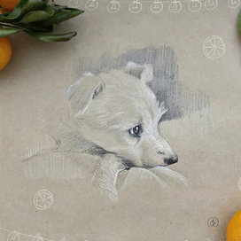 Портрет друга