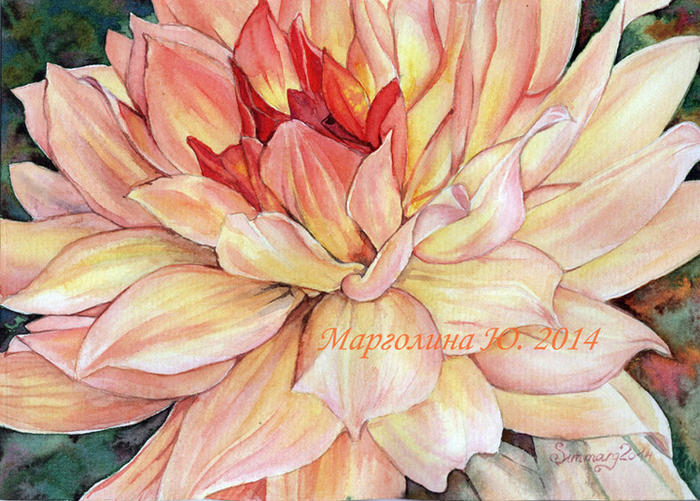 Георгин "в теплом". :) 