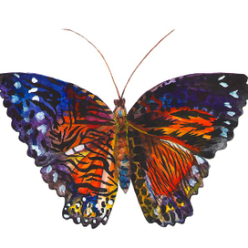 Бабочка монарх