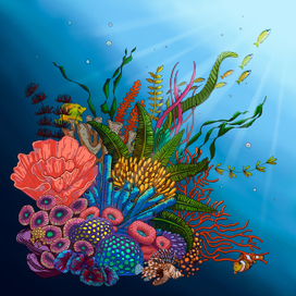 Барьерный риф