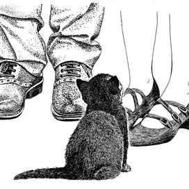 Иллюстрация к книге "Долгая дорога домой" издательства Феникс-Премьер