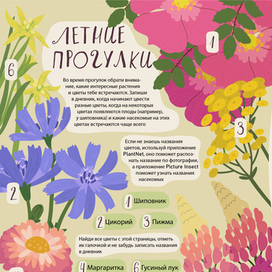 Разворот для "Летней книги" 