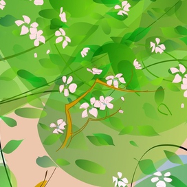 Цветущее дерево. Дождь пройдёт.