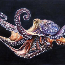 Странствующий разум