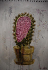 Все мы немного кактус