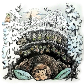 Медвежонок проспал