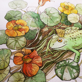 Царевна лягушка