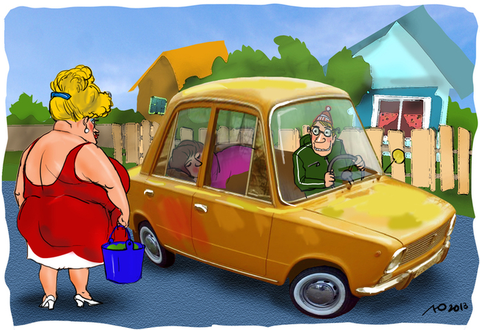 Дачная история