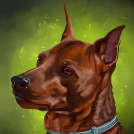 Цвергпинчер