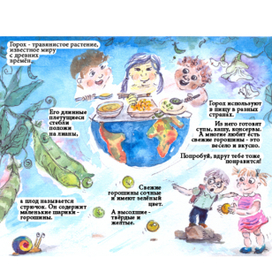 Горох. Иллюстрация к детской энциклопедии растений. 