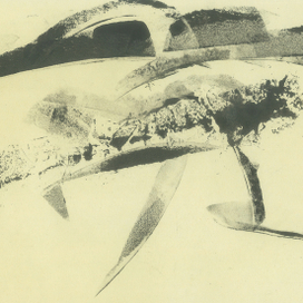 белые снеги