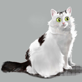 кот Хвистик