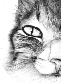 Шариковая ручка .