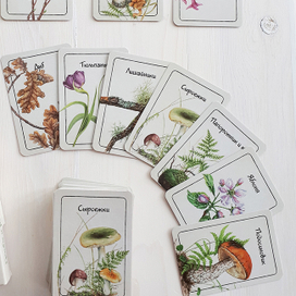 Мемори "Грибы и растения"