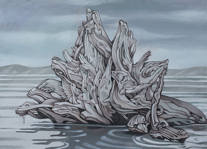 Ольхонская коряга