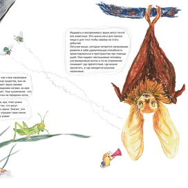 A children's book about ears