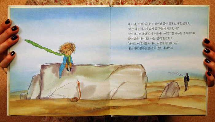 Антуан де Сент-Экзюпери  "Маленький принц"