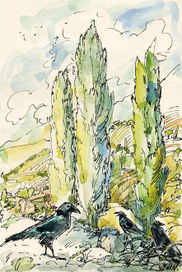 Три брата ворона.  Сказка