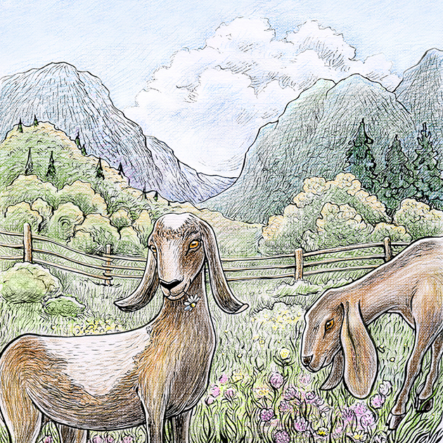 Иллюстрация для буклета фермерского хозяйства