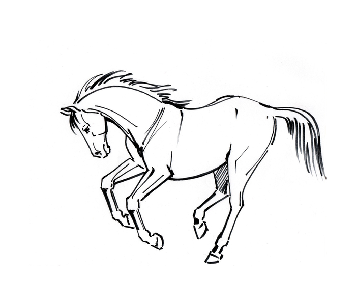 Набросок лошади