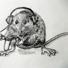 крыска с плеером