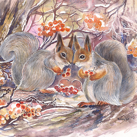 Белки в рябине