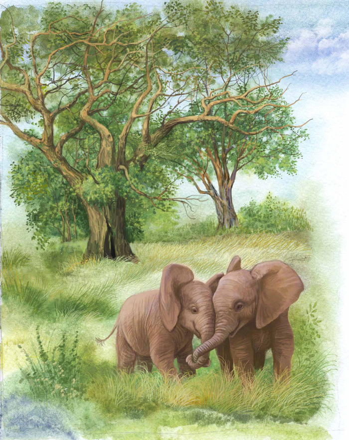 Шави и Рави. Детство