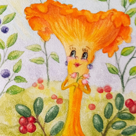 грибные истории