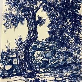 Дерево в Кемере