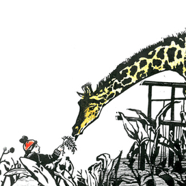 мальчик и Занзибар