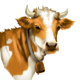 Корова рыже-белая