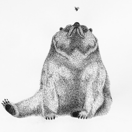 Медведь и пчела