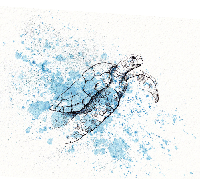 Быстрый скетч