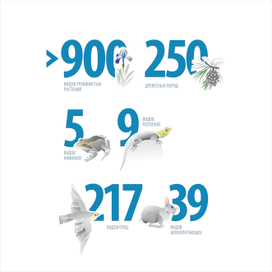 Инфографика